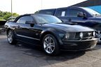 Thumbnail Photo 3 for 2008 Ford Mustang