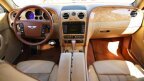 Thumbnail Photo 1 for 2009 Bentley Continental