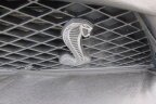 Thumbnail Photo 6 for 2009 Ford Mustang Shelby GT500 Coupe for Sale by Owner