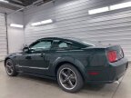 Thumbnail Photo 5 for 2009 Ford Mustang GT