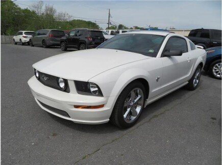 Photo 1 for 2009 Ford Mustang