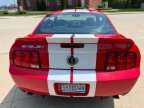 Thumbnail Photo 5 for 2009 Ford Mustang Shelby GT500