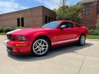 Thumbnail Photo 1 for 2009 Ford Mustang Shelby GT500
