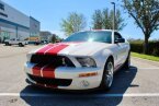 Thumbnail Photo 5 for 2009 Ford Mustang
