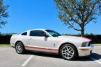 Thumbnail Photo 2 for 2009 Ford Mustang