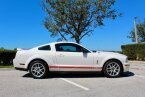 Thumbnail Photo 1 for 2009 Ford Mustang