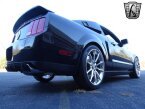Thumbnail Photo 6 for 2009 Ford Mustang