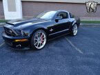 Thumbnail Photo 2 for 2009 Ford Mustang