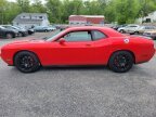 Thumbnail Photo 5 for 2010 Dodge Challenger SRT8