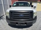 Thumbnail Photo 2 for 2010 Ford F150