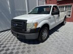 Thumbnail Photo 5 for 2010 Ford F150