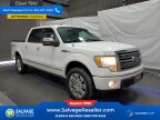 Thumbnail Photo 5 for New 2010 Ford F150