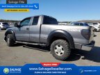 Thumbnail Photo 3 for New 2010 Ford F150
