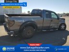 Thumbnail Photo 4 for New 2010 Ford F150