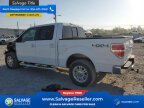 Thumbnail Photo 3 for New 2010 Ford F150