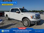 Thumbnail Photo 5 for New 2010 Ford F150