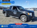 Thumbnail Photo 5 for New 2010 Ford F150