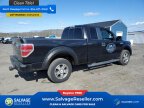 Thumbnail Photo 4 for New 2010 Ford F150