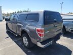 Thumbnail Photo 4 for 2010 Ford F150
