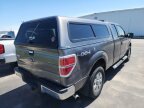 Thumbnail Photo 2 for 2010 Ford F150