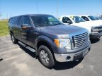 Thumbnail Photo 1 for 2010 Ford F150