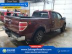 Thumbnail Photo 4 for New 2010 Ford F150