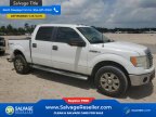 Thumbnail Photo 5 for 2010 Ford F150