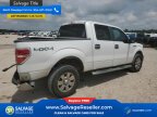 Thumbnail Photo 4 for 2010 Ford F150
