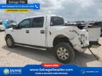 Thumbnail Photo 3 for 2010 Ford F150