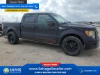 Thumbnail Photo 5 for 2010 Ford F150