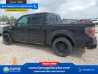 Thumbnail Photo 3 for 2010 Ford F150