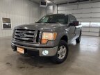 Thumbnail Photo 2 for 2010 Ford F150