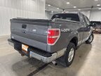Thumbnail Photo 5 for 2010 Ford F150