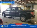 Thumbnail Photo 3 for 2010 Ford F150