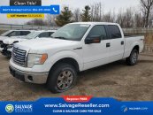 New 2010 Ford F150