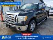 New 2010 Ford F150