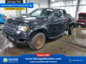 New 2010 Ford F150 4x4 SuperCab SVT Raptor