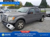 New 2010 Ford F150