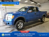 New 2010 Ford F150