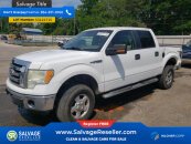 New 2010 Ford F150