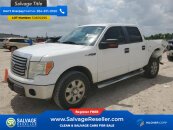 2010 Ford F150