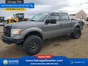 2010 Ford F150