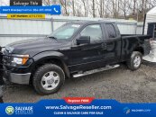 2010 Ford F150