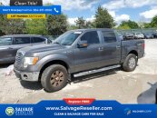 2010 Ford F150