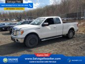 2010 Ford F150