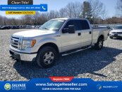 2010 Ford F150