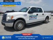 2010 Ford F150