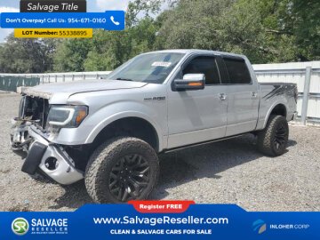 2010 Ford F150