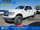 2010 Ford F150