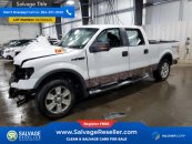 2010 Ford F150